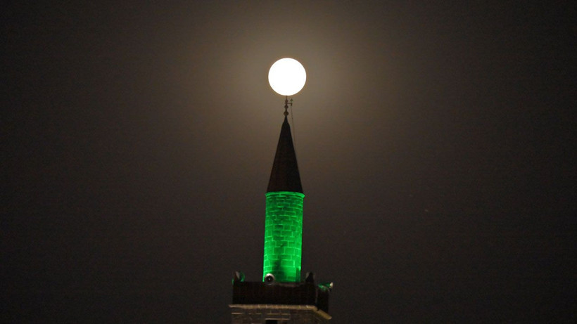 ‘Kunduz ayı’ kartpostallık görüntüler oluşturdu - Resim: 1