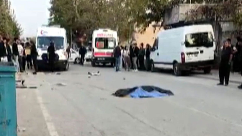 Otomobilin çarptığı Güney, hayatını kaybetti - Resim: 1