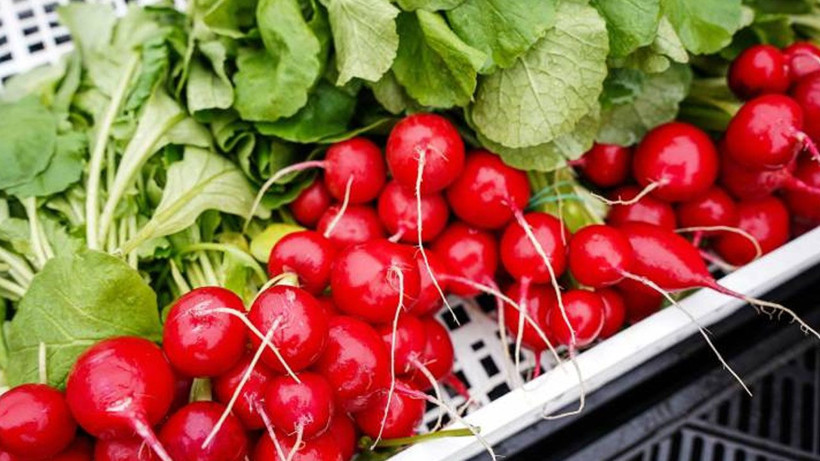 Bağışıklığı güçlendiriyor, kalbe iyi geliyor! Düzenli tüketenler faydasını görüyor - Resim: 1