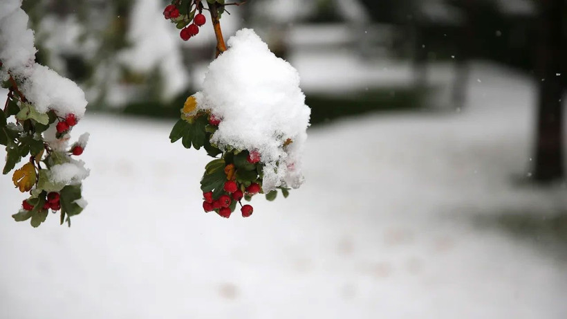 Yoğun kar yağışı için tarih verildi! Bu kış çok sert geçecek - Resim: 2