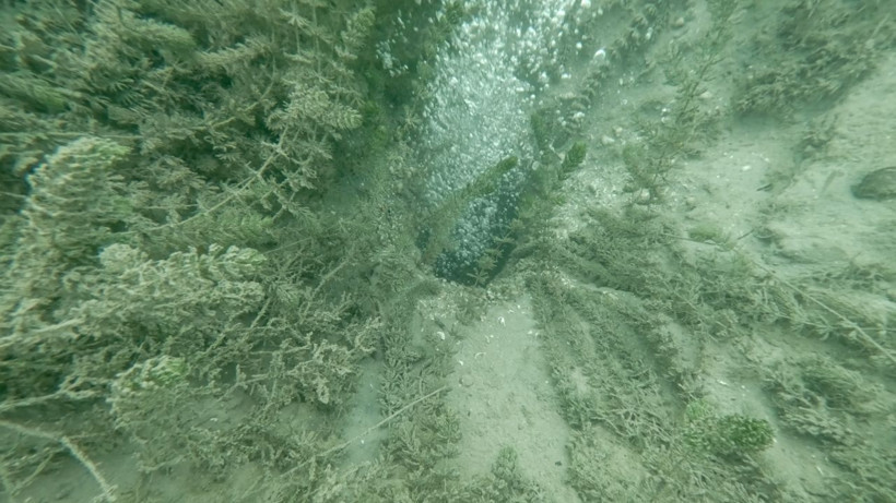 Halk günlerdir göldeki bu görüntüyü konuşuyordu! Nedeni belli oldu - Resim: 4