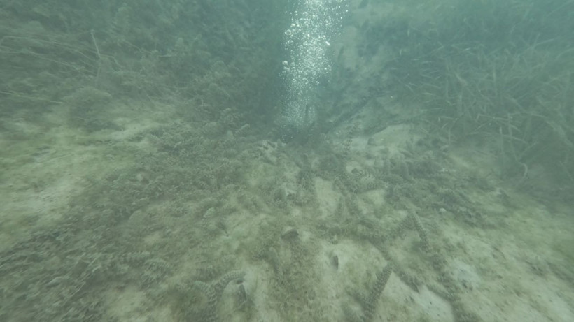 Halk günlerdir göldeki bu görüntüyü konuşuyordu! Nedeni belli oldu - Resim: 2