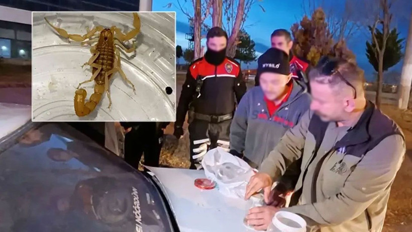 Litresi 10 milyon dolardan satılıyor! Kavanozu açan polisler şoka uğradı - Resim: 3