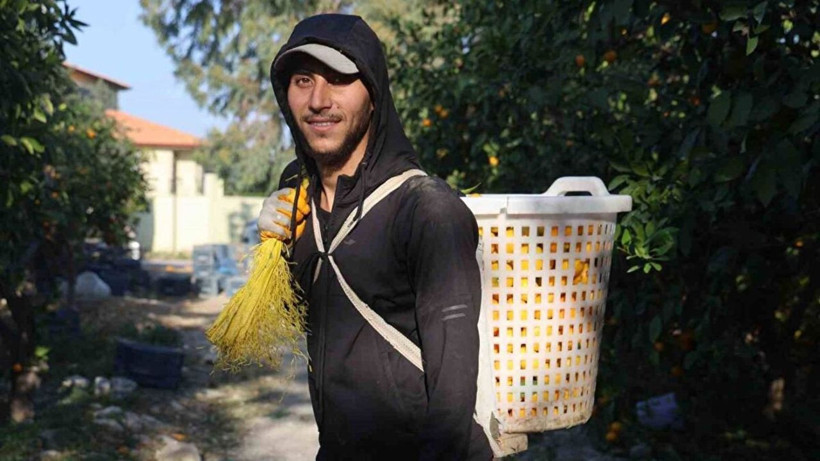 Tarlada 2, markette 30 TL! - Resim: 1