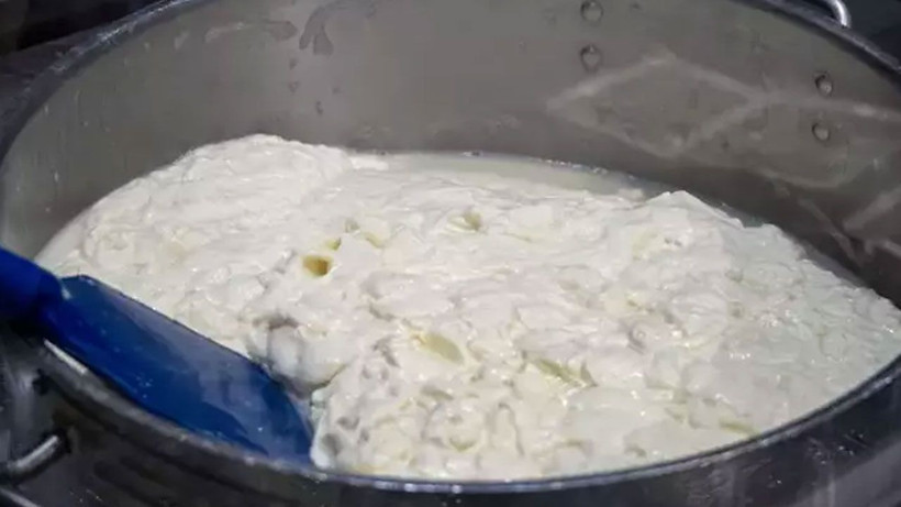 Kemikleri adeta beton gibi yapıyor! Beyaz peynirden çok daha faydalı - Resim: 4