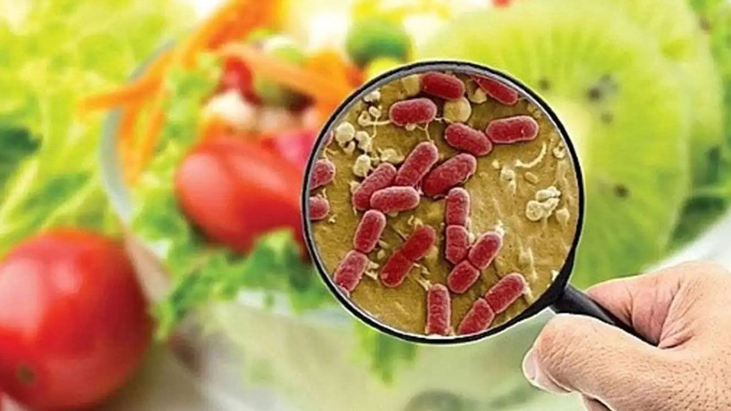 Bu hatalar hastanelik ediyor! Gıda zehirlenmesinin en yaygın belirtileri ve nedenleri - Resim: 3