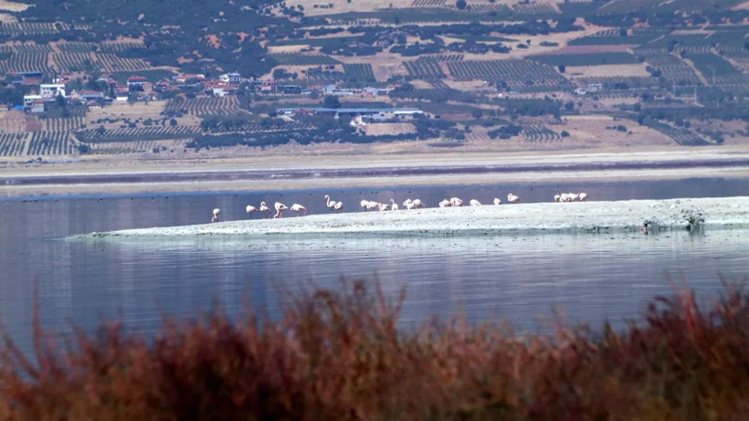 Burdur Gölü'nün son hali içler acısı - Resim: 2