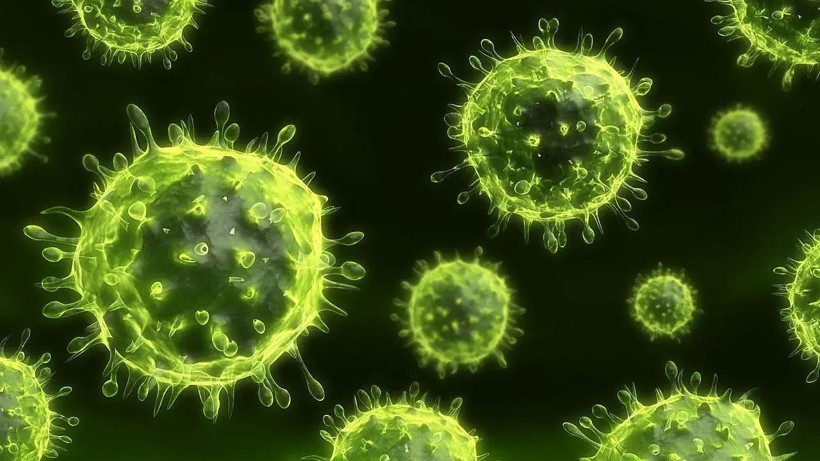 H3N2 hızla yayıldı, uzmanlar vitamin uyarısı yaptı - Resim: 2