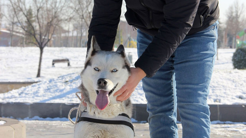 Çorum'da kar kartpostallık görüntüler oluşturdu - Resim: 1