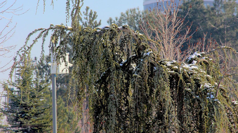 Çorum'da kar kartpostallık görüntüler oluşturdu - Resim: 2