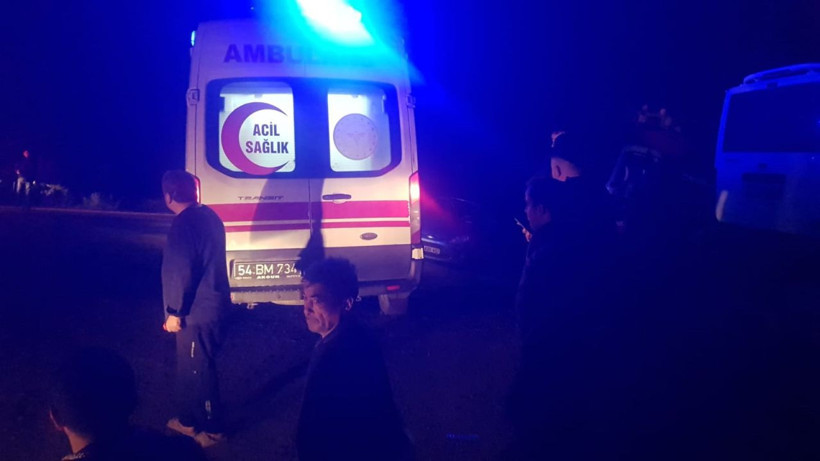 Orman yangınında hasar gören ağaçları taşıyan tır devrildi - Resim: 3