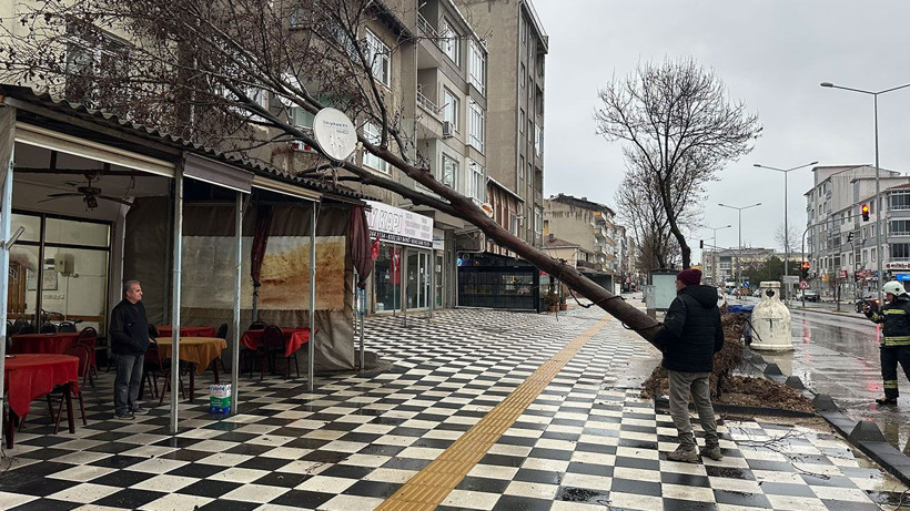Muratlı’da ağaç kahvehanenin çatısına devrildi - Resim: 2
