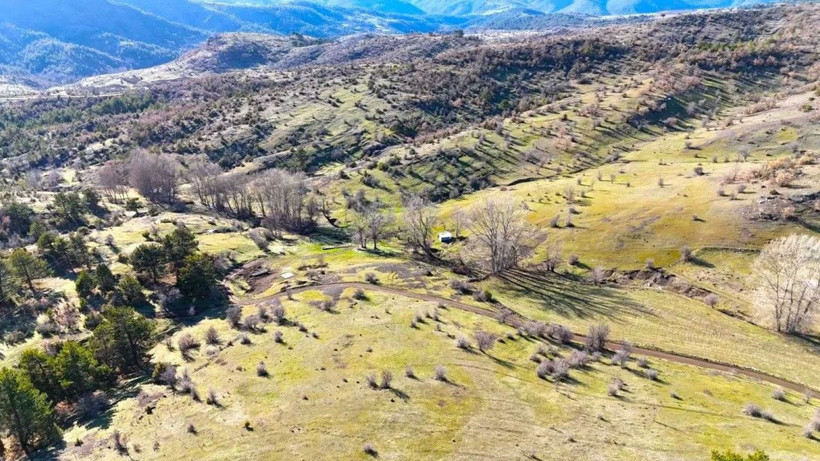 Kastamonu yaylalarında bahar uyanışı - Resim: 3