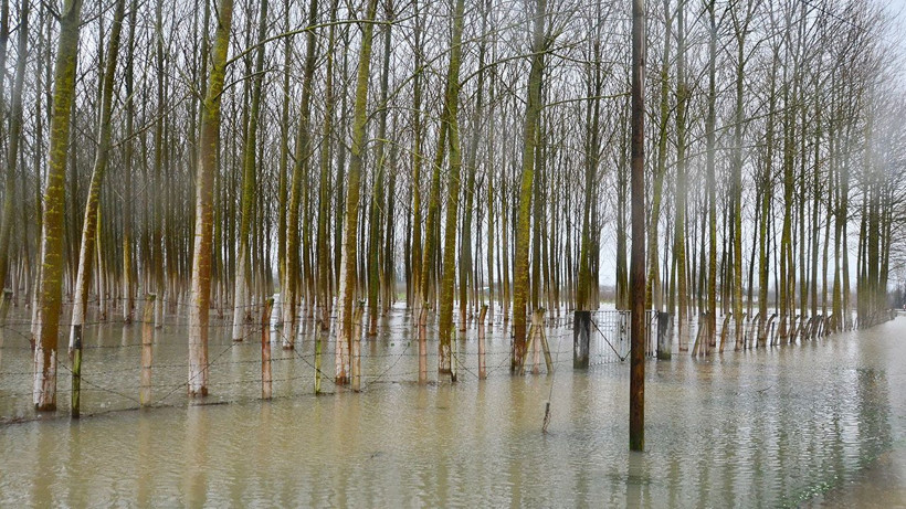 Terme'de ovada su taşkını, yüksekte kar esareti - Resim: 3