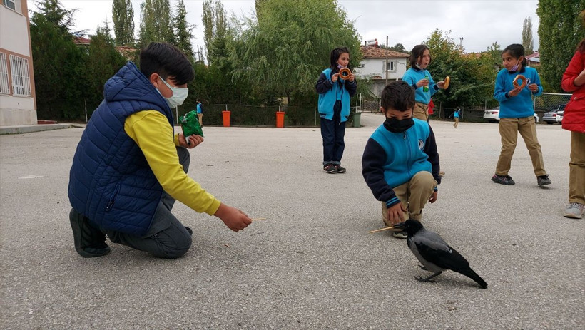 Karga "Duman" kendisini iyileştiren çocuğun peşinden ayrılmıyor - Resim: 2