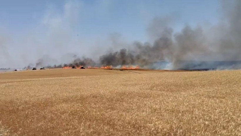 Diyarbakır'da 120 dönüm ekili buğday yandı - Resim: 1