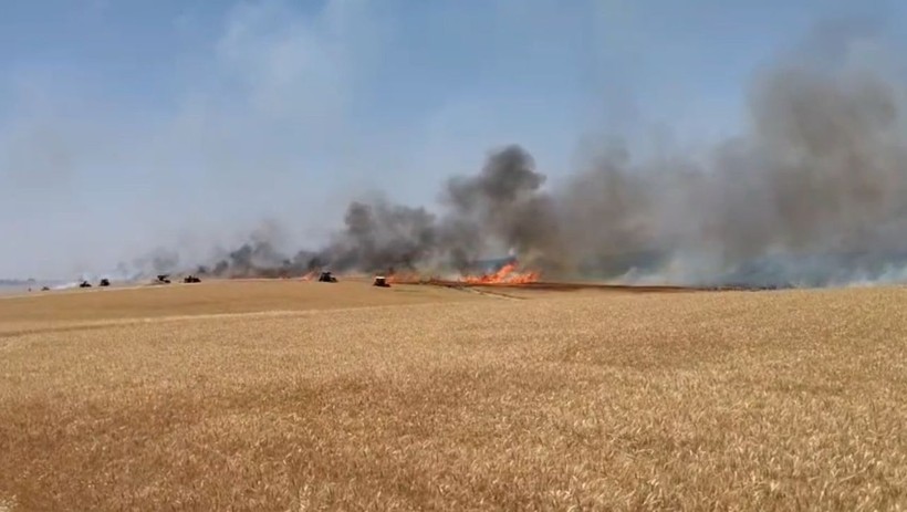 Diyarbakır'da 120 dönüm ekili buğday yandı - Resim: 3