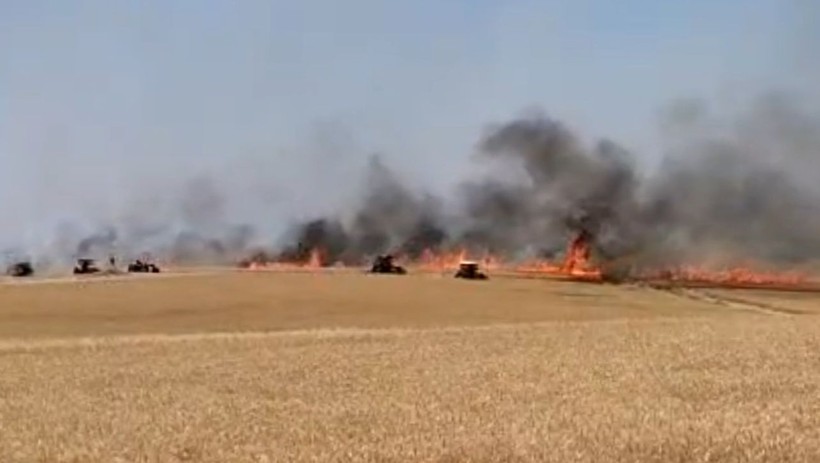 Diyarbakır'da 120 dönüm ekili buğday yandı - Resim: 2