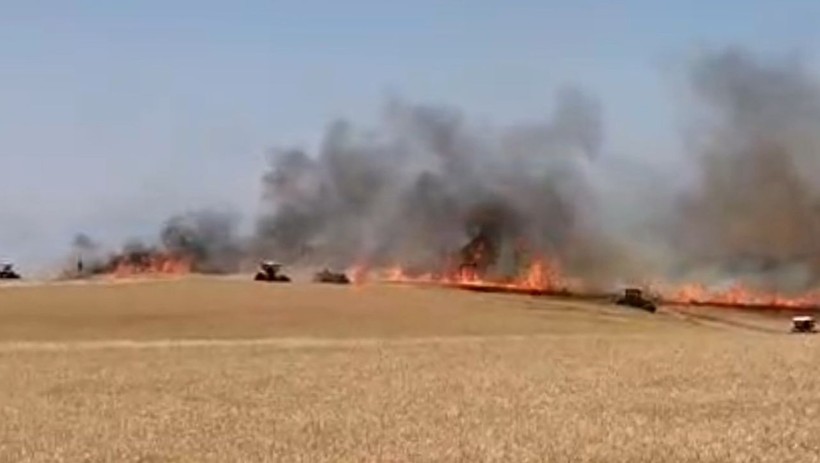 Diyarbakır'da 120 dönüm ekili buğday yandı - Resim: 4