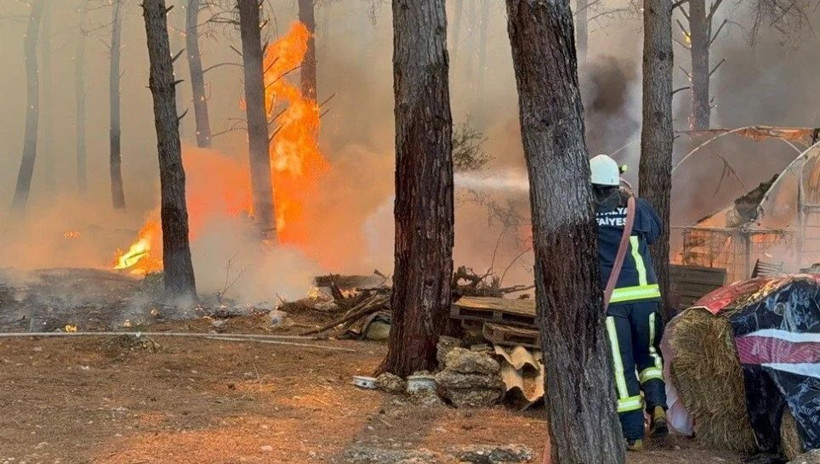 Sakarya, Bilecik, Eskişehir, Adana, Denizli ve Antalya'daki yangınlar kontrol altına alındı - Resim: 3