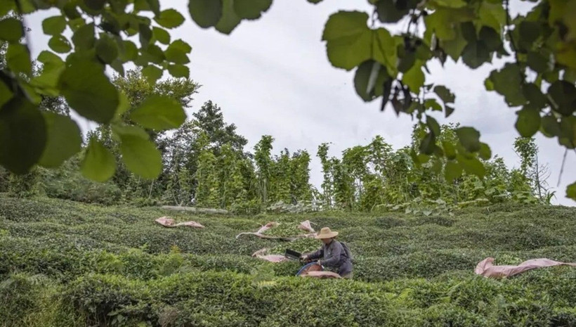 O illerde yaşayanlar dikkat: 18 şehre dev destek! Detaylar belli oldu - Fotoğraf: 4