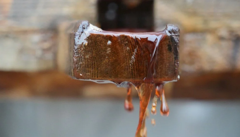 Ramazanda ilgi arttı! Susuzluk giderici etkisi var 35 TL'ye satılıyor - Resim: 4