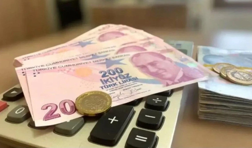 Vatandaşlık maaşı detayları netleşti! Kimler ne kadar alacak? - Resim: 4
