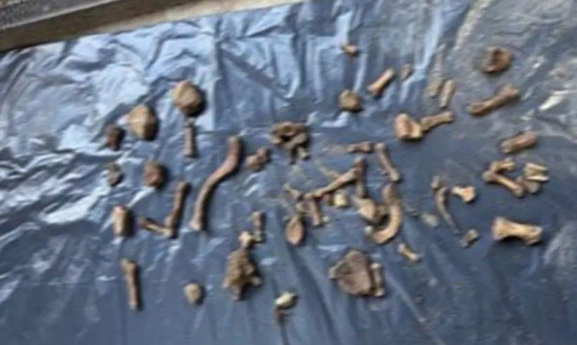 Ailesi Müge Anlı'ya çıkıp aramıştı! 4 yıl sonra kemikleri bulundu... Katili bakın kimmiş - Resim: 3