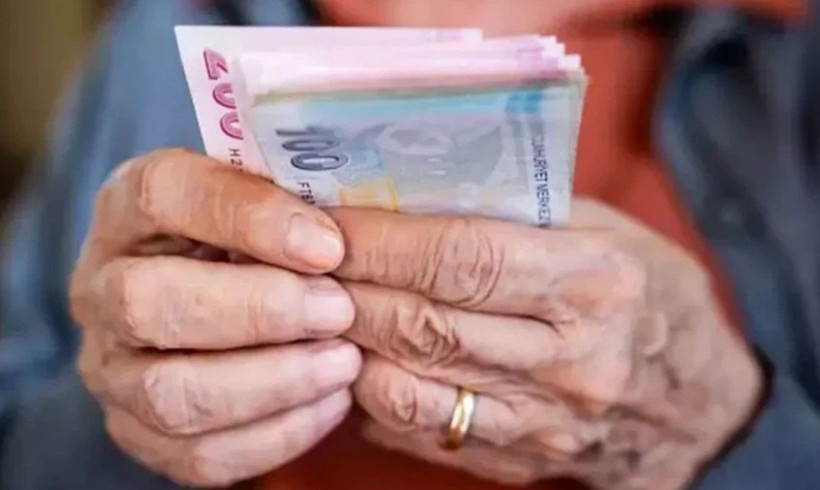 Vatandaşlık maaşı detayları netleşti! Kimler ne kadar alacak? - Resim: 3