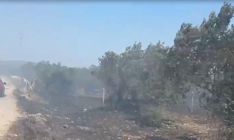 Edremit'te çöplükteki yangın, tarım arazisine sıçradı - Resim: 2