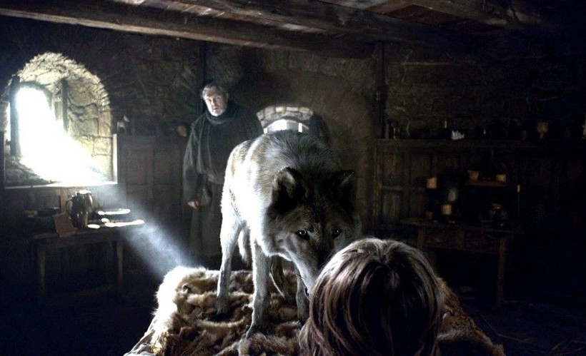 Game of Thrones'ta Bran'in köpeği Summer kansere yenik düştü - Resim: 3