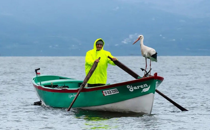 Türkiye'nin merakla beklediği Yaren Leylek geldi. Adem Amca ile Yaren'in buluşması 15. yılda da gerçekleşti - Resim: 1