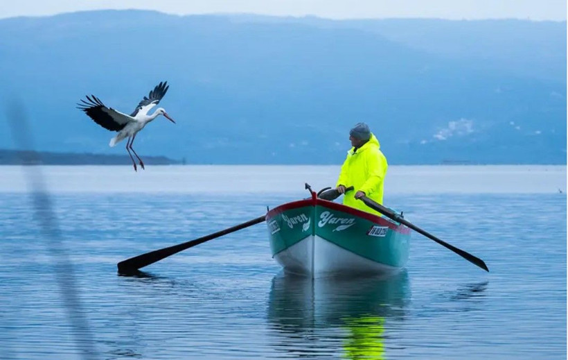 Türkiye'nin merakla beklediği Yaren Leylek geldi. Adem Amca ile Yaren'in buluşması 15. yılda da gerçekleşti - Resim: 4