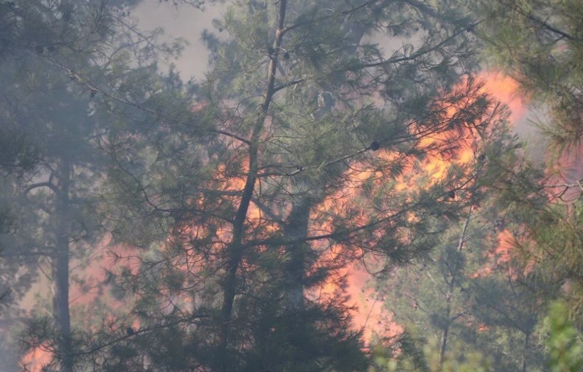 Bodrum'da orman yangını: Alevlere havadan ve karadan müdahale ediliyor - Resim: 1