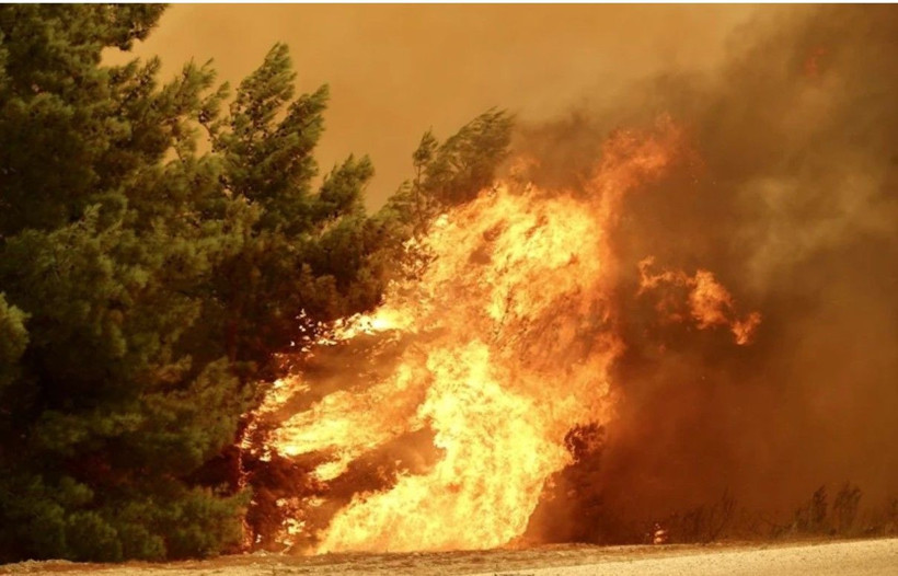 Seydikemer orman yangınından kötü haberler! Kaş'taki yangın da ürkütüyor - Fotoğraf: 11