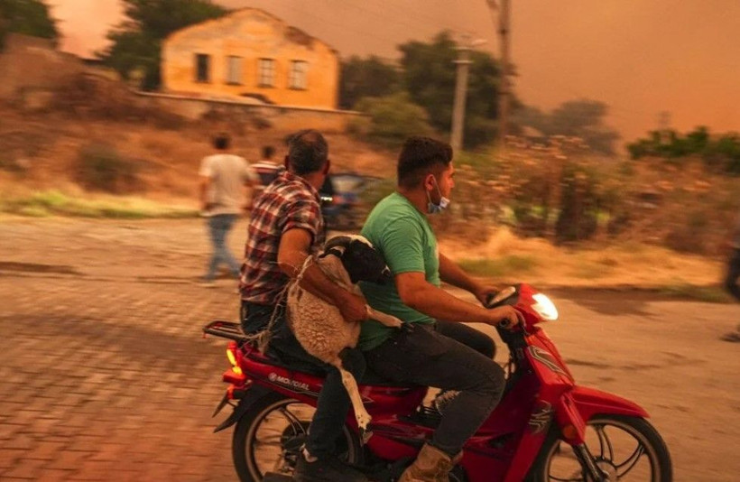 Ödemiş'te kahreden fotoğraflar: Alevlerden böyle kaçtılar - Resim: 3