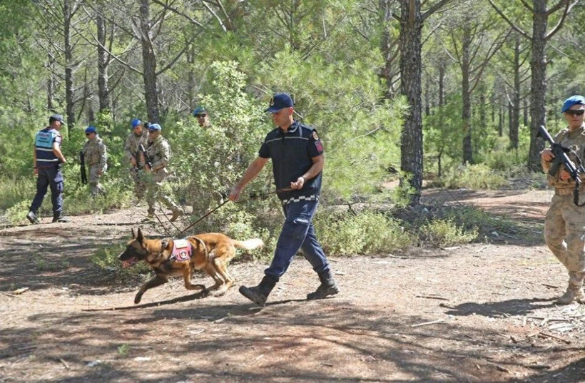 Muğla'da İHA'lar havalandı, komandolar devriyeye çıktı - Resim: 3