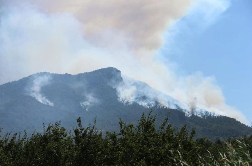 Sakarya-Bilecik orman yangınında son durum! Alev hortumu oluştu - Resim: 3