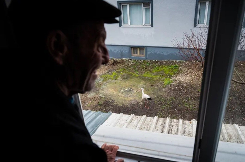 Türkiye'nin merakla beklediği Yaren Leylek geldi. Adem Amca ile Yaren'in buluşması 15. yılda da gerçekleşti - Resim: 3
