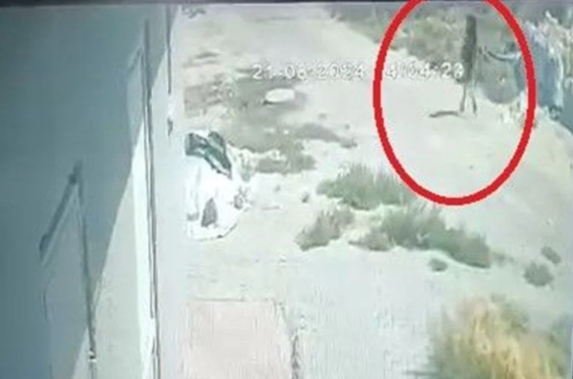 Ölümünden 1 saat öncesine ait! İşte Narin'in cinayetten önceki son görüntüleri - Resim: 1