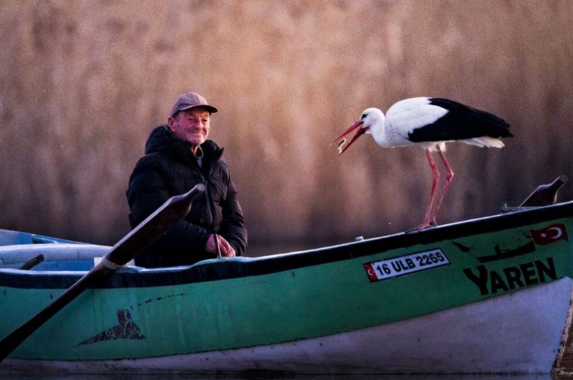 Yaren Leylek'ten beklenen haber geldi! 14'üncü yılda da evinde... - Resim: 2