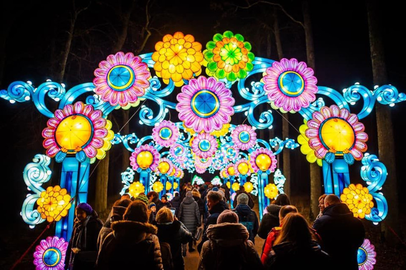 ‘Ormanda Işık Festivali’ ilk kez Türkiye’de - Resim: 4