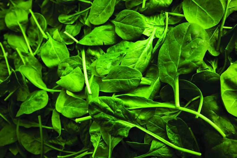 Ispanağı yıllarca yanlış tüketmişiz! Zehirlenmeyen çok şanslı: Sakın bunları yapmayın - Resim: 1