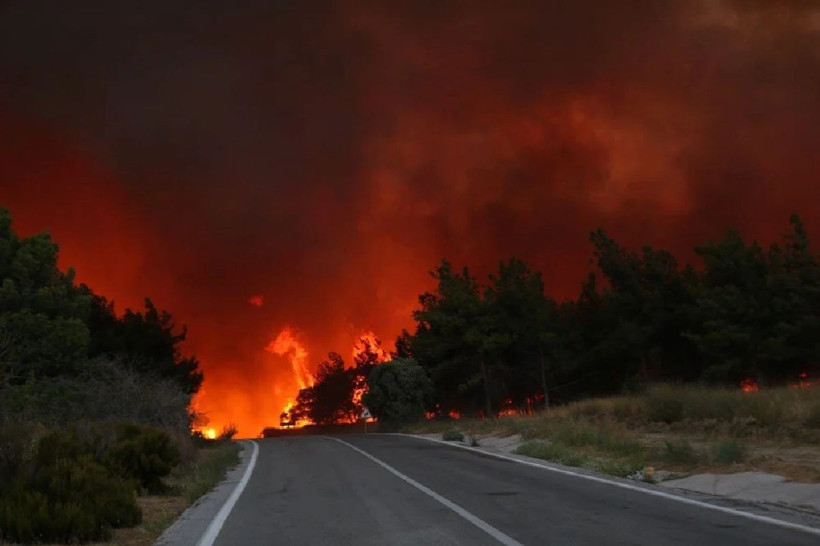 Türkiye'nin birçok noktasında alevlerle mücadele sürüyor - Fotoğraf: 8