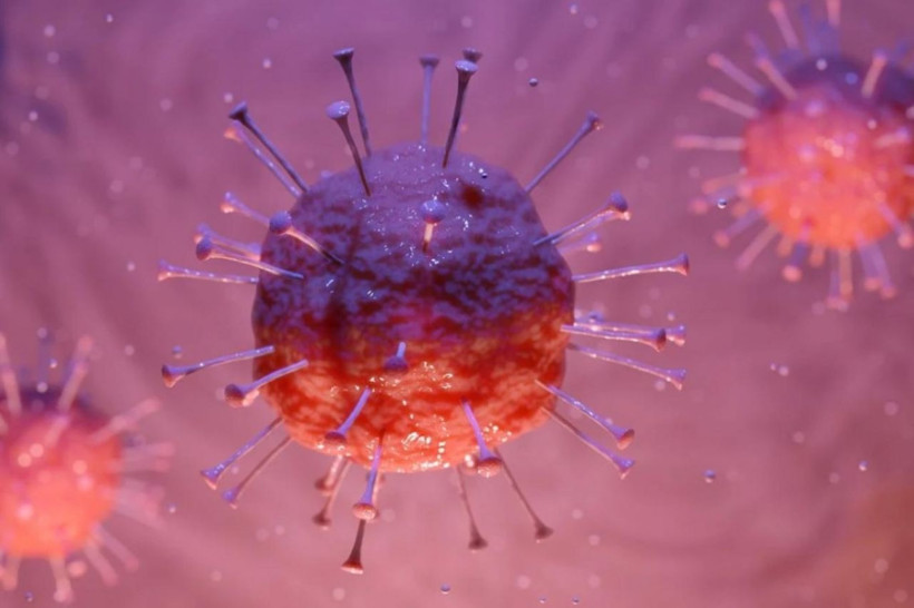 DSÖ Covid-19’un kökeni için yeni ekip kurdu - Resim: 1