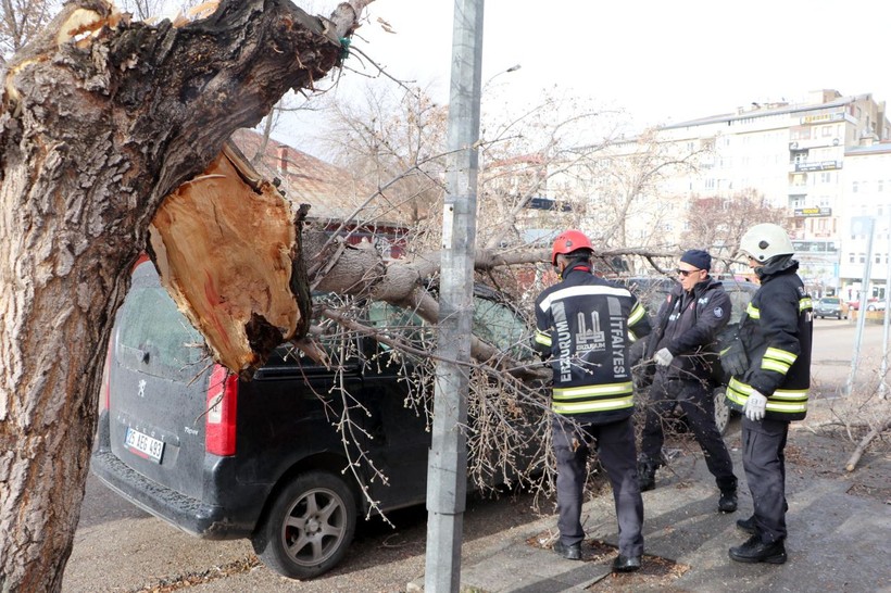 Erzurum'da fırtına; çatılar ve tabelalar uçtu, ağaçlar devrildi - Resim: 2