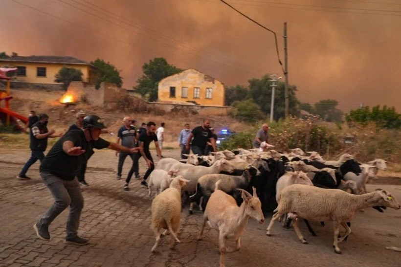 Ödemiş'te kahreden fotoğraflar: Alevlerden böyle kaçtılar - Resim: 4