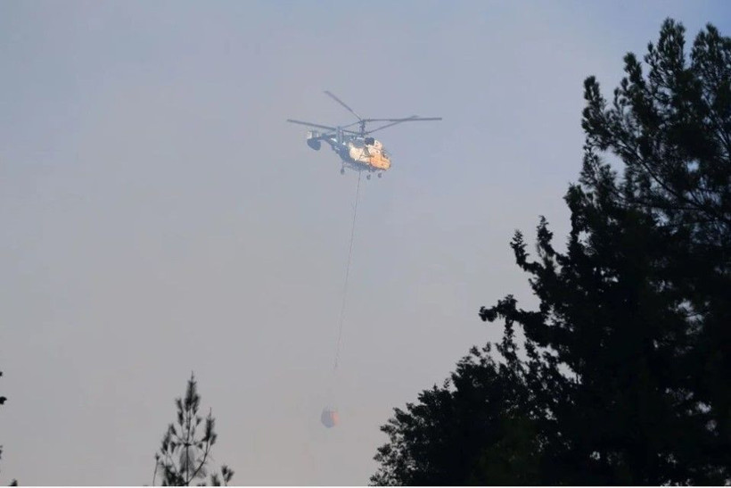 Hatay Dörtyol'da orman yangını kısmen kontrol altında - Resim: 4