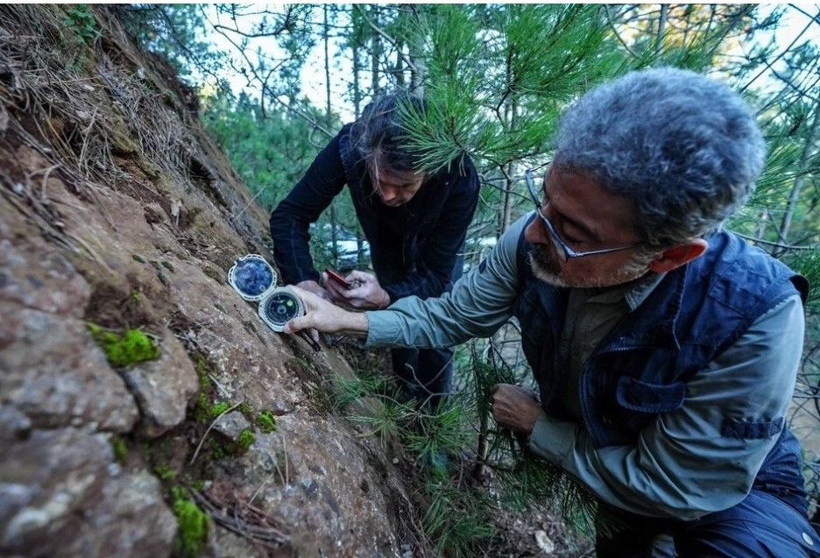 Ölü faylar canlandı: Sındırgı için yeni uyarı geldi... Bir büyük deprem daha bekleniyor - Resim: 3