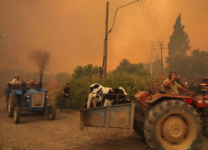 Ödemiş'te kahreden fotoğraflar: Alevlerden böyle kaçtılar - Resim: 2